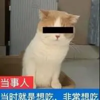judi slot online deposit pulsa tri Setelah Huo Qifeng pulih dari amarahnya, dia menatap Huo Jianye dengan dingin